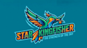 design amazing hamming bird mascot logo