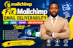 fix mailchimp email deliverability spf, dkim, dmarc, and dns setup issues today