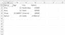 clean and organize your excel or CSV data using python