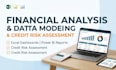 do financial analysis, data analytics and credit assessments