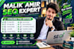 do professional off page SEO and high quality links building