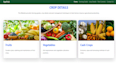 do web design and development personal blog and business