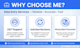 do excel data entry copy paste and web research