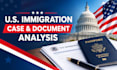 provide US immigration document analysis and consultation