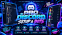 do professional discord server setup