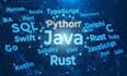 help you with any programing assessment