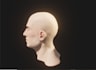 3d rigger,auto rig pro, chatbot avatar rig, ai driven lips sync, face arkit
