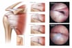 draw professional medical illustrations