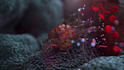 create 3d medical immunotherapy cancer molecular moa animation biotech explainer