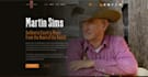design or redesign a professional wix website