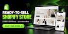 build and customize a professional shopify store