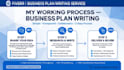 write professional business plan for investors and bank loan