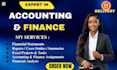 provide accounting editing and financial managements