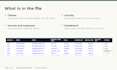build a custom client and payment tracker in excel and google sheets
