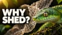 design custom youtube thumbnails that fit your video
