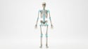 3d medical animation, surgical animation and medical explainer video, 3d anatomy