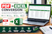 do data entry, excel data cleaning, copy paste and PDF conversion