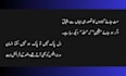 do urdu typing, in page composing and urdu assignment work