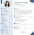 make a professional CV