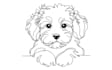 draw awesome pet line art in 24 hours