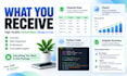 analyze clean and visualize your data using python
