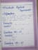 handwrite neat notes and assignments with calligraphy