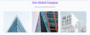 made a luxury portfolio website