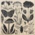 draw  botanical and scientific illustrations