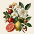 illustrate best botanical illustration