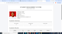 build a python flask web application and website