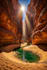 create breathtaking natural scenes and landscape art