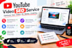 do professional you tube SEO to optimize your videos