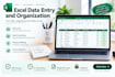 do excel data entry and websearch