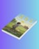deliver a professional ebook and paperback layout formatting