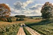 paint landscape in oil painting