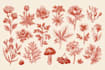 paint a high fruits botanical illustration
