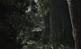 create unreal engine5 game levels map and environment
