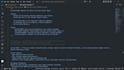 develop and debug python scripts and applications