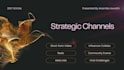 design canva presentation and pitch deck