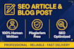 write SEO blogs and academic content
