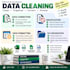 data cleaning and excel formatting