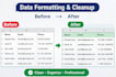 do accurate data entry, excel, copy paste and web research