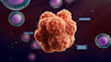 create professional 3d medical and scientific animation explainers