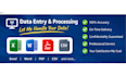 do accurate and fast data entry and data processing