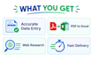 do fast and accurate data entry in excel
