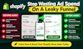 do a video UX and conversion rate audit for your shopify store