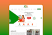 design and develop a modern responsive wordpress website