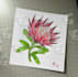 hand draw botanical illustrations