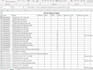 do data cleaning, analysis, and executive ready reporting