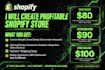 create premium shopify store design